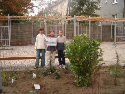 Foto des Albums: Bepflanzung Schulhof 2006 (01.01.2006)
