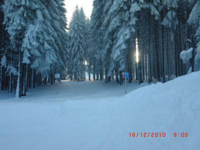 Foto des Albums: Skisportlager der 8b (01.12.2010)