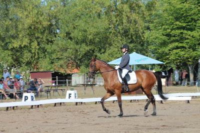 Foto des Albums: OstseeReitTurnier 2013