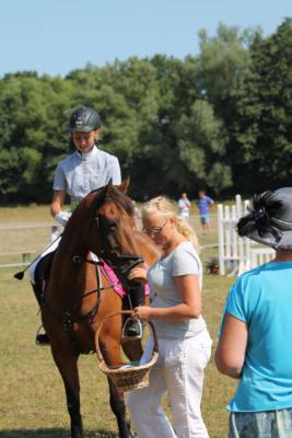 Foto des Albums: OstseeReitTurnier 2013