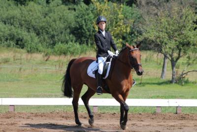 Foto des Albums: OstseeReitTurnier 2013