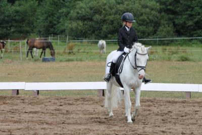 Foto des Albums: OstseeReitTurnier 2013