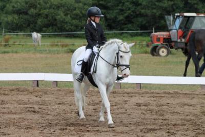 Foto des Albums: OstseeReitTurnier 2013