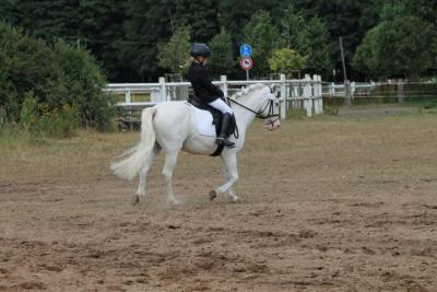 Foto des Albums: OstseeReitTurnier 2013