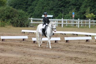 Foto des Albums: OstseeReitTurnier 2013