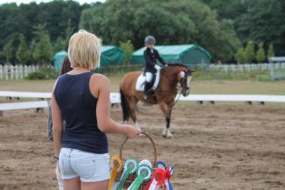Foto des Albums: OstseeReitTurnier 2013