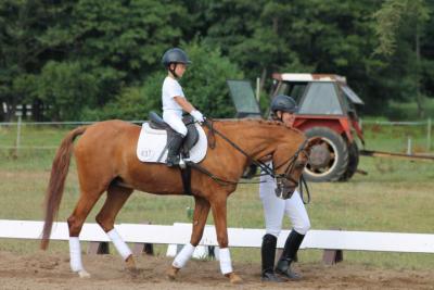 Foto des Albums: OstseeReitTurnier 2013