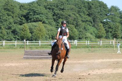 Foto des Albums: OstseeReitTurnier 2013