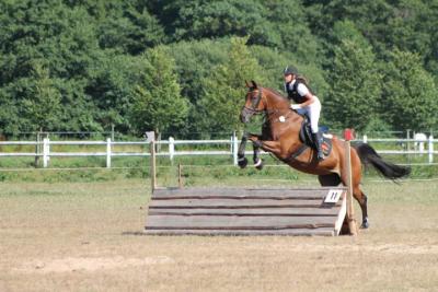 Foto des Albums: OstseeReitTurnier 2013