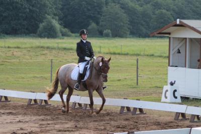 Foto des Albums: OstseeReitTurnier 2013