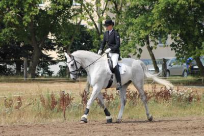 Foto des Albums: OstseeReitTurnier 2013