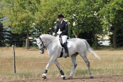 Foto des Albums: OstseeReitTurnier 2013