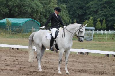 Foto des Albums: OstseeReitTurnier 2013