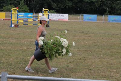 Foto des Albums: OstseeReitTurnier 2013