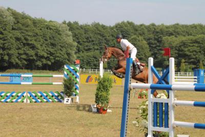Foto des Albums: OstseeReitTurnier 2013
