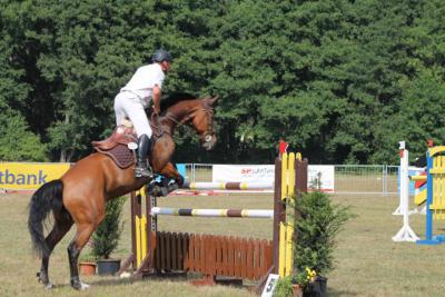 Foto des Albums: OstseeReitTurnier 2013