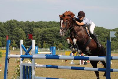 Foto des Albums: OstseeReitTurnier 2013