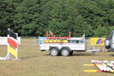 Foto des Albums: OstseeReitTurnier 2013