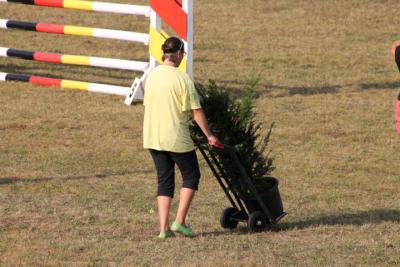 Foto des Albums: OstseeReitTurnier 2013