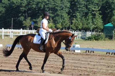 Foto des Albums: OstseeReitTurnier 2013