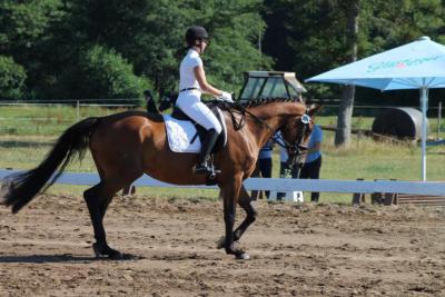 Foto des Albums: OstseeReitTurnier 2013