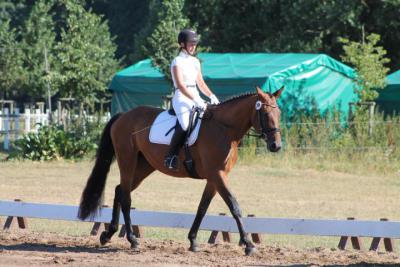 Foto des Albums: OstseeReitTurnier 2013