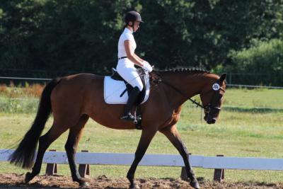 Foto des Albums: OstseeReitTurnier 2013