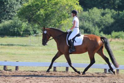 Foto des Albums: OstseeReitTurnier 2013