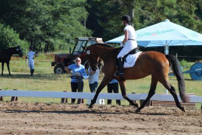Foto des Albums: OstseeReitTurnier 2013
