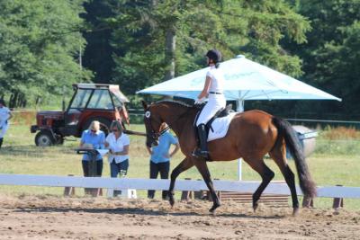 Foto des Albums: OstseeReitTurnier 2013