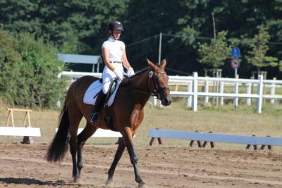 Foto des Albums: OstseeReitTurnier 2013