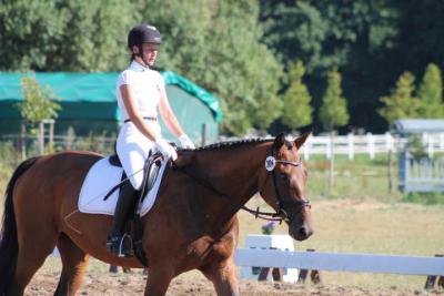 Foto des Albums: OstseeReitTurnier 2013