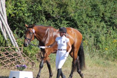 Foto des Albums: OstseeReitTurnier 2013