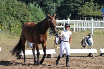 Foto des Albums: OstseeReitTurnier 2013
