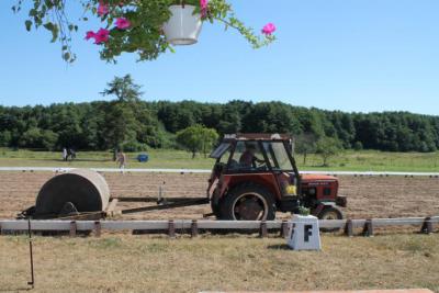 Foto des Albums: OstseeReitTurnier 2013