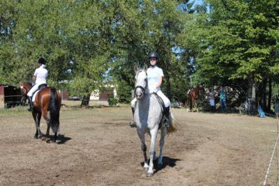 Foto des Albums: OstseeReitTurnier 2013