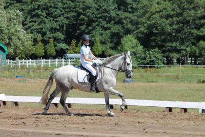 Foto des Albums: OstseeReitTurnier 2013