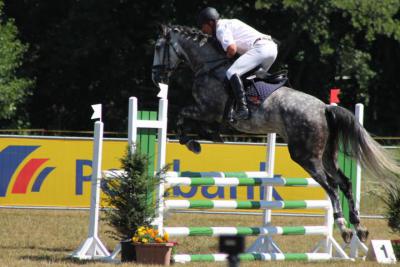 Foto des Albums: OstseeReitTurnier 2013