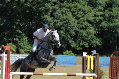 Foto des Albums: OstseeReitTurnier 2013