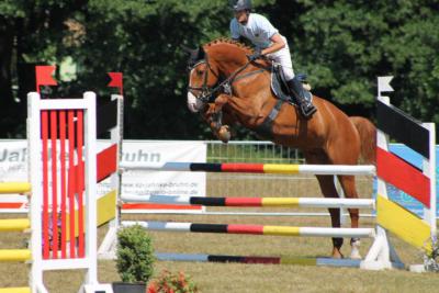 Foto des Albums: OstseeReitTurnier 2013