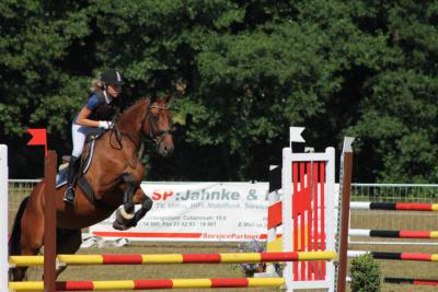 Foto des Albums: OstseeReitTurnier 2013