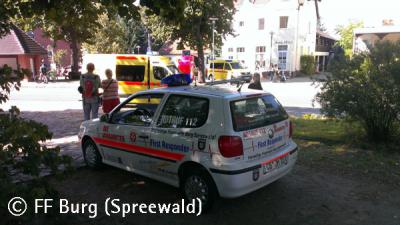 Foto des Albums: Einsatz Nr. 99/2013
