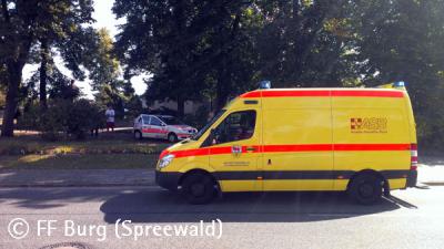 Foto des Albums: Einsatz Nr. 99/2013