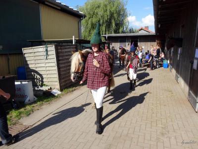 Foto des Albums: 1. Glückstädter Pferde-Fest für Jedermann