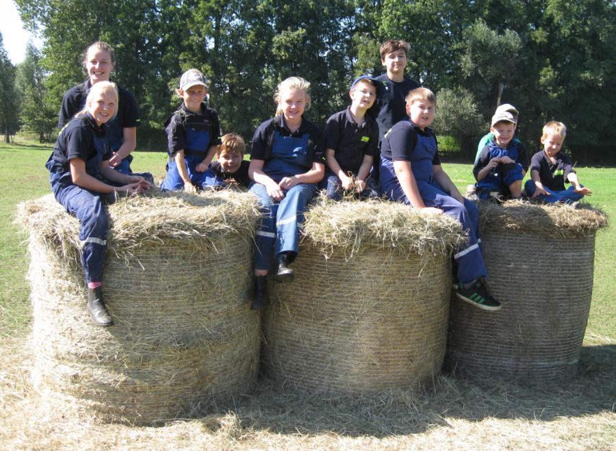 Bild: Kinder- und Jugendfeuerwehr Müschen II beim Hindernisparcour. (Foto: C. Pank)