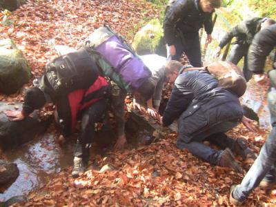 Foto des Albums: Survival Wochenende im Oktober