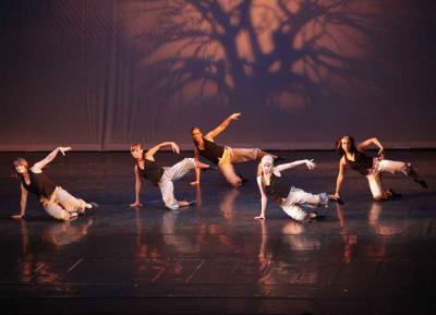 Foto des Albums: Tanzgala 2012
