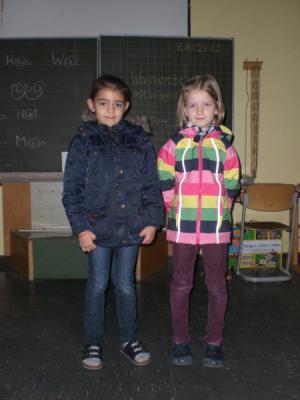 Foto des Albums: Sicherheitswarnwesten