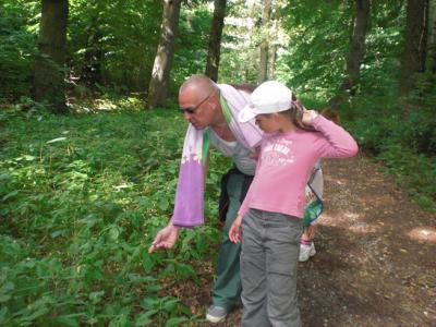 Foto des Albums: Zeltlager Adlerhorst