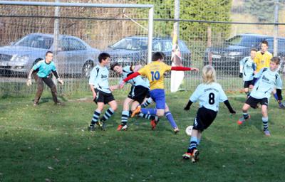 Foto des Albums: Unsere C Junioren